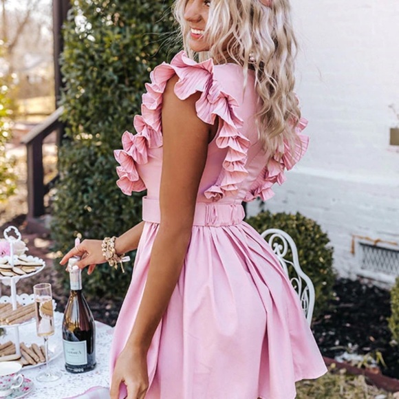 Blush Dress - Picture 2 of 5